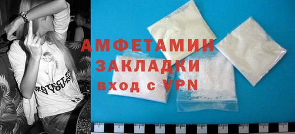 МДПВ Пересвет