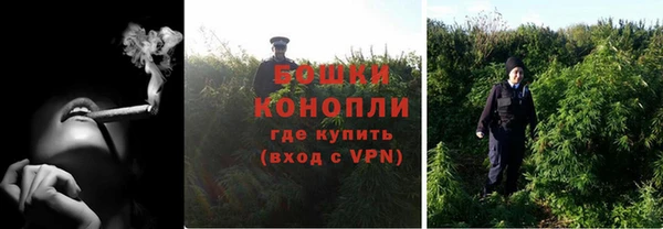гидра Пестово