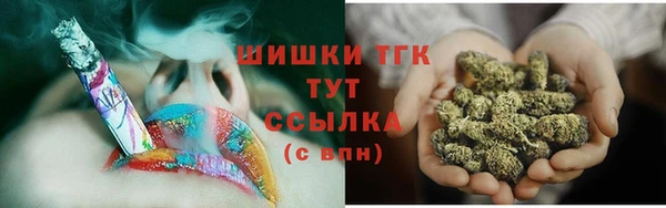 гидра Пестово