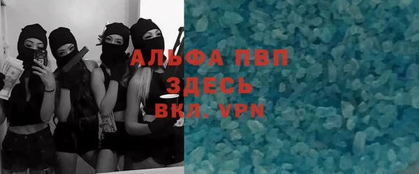 гидра Пестово