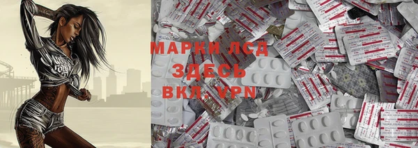 МДПВ Пересвет