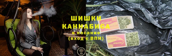 МДПВ Пересвет