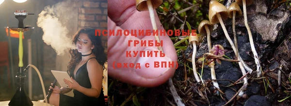 амф Переславль-Залесский