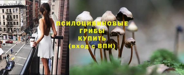 ALPHA-PVP Грязи