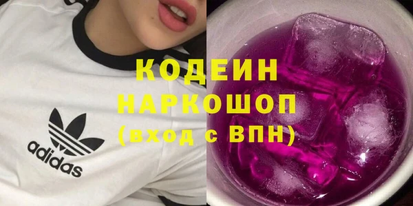 МДПВ Пересвет
