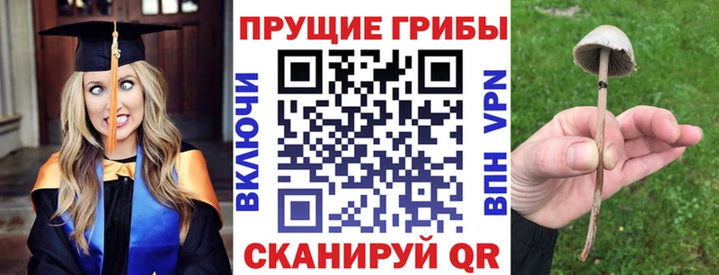 Псилоцибиновые грибы Psilocybine cubensis даркнет сайт Ивдель