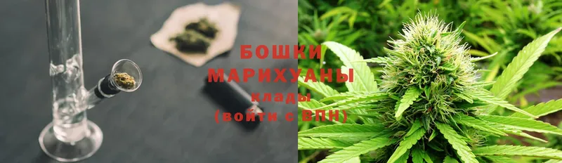 Шишки марихуана индика  Ивдель 